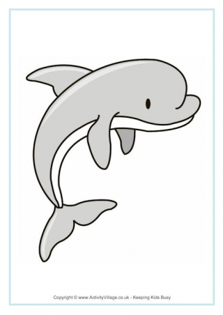Dolphin Poster
