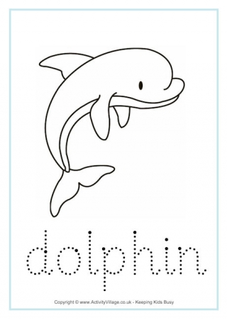 an worksheet research animal Worksheets Dolphin an worksheet research animal Worksheets Dolphin