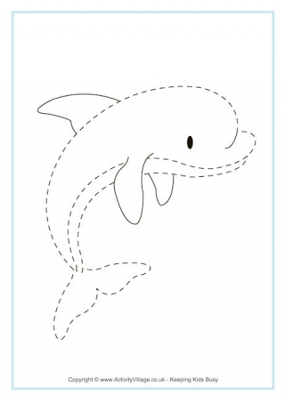 Dolphin Tracing Picture