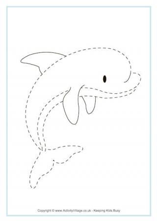 Dolphin Tracing Picture
