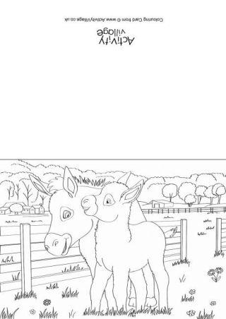 Donkeys Scene Colouring Card