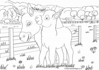 Donkeys Scene Colouring Page