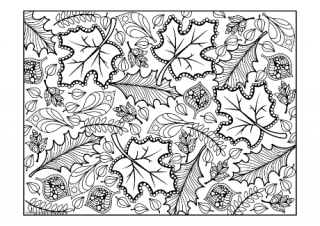 Seasonal Colouring Pages