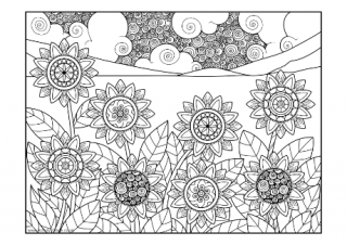 Doodly Sunflowers Colouring Page
