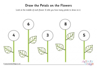 Draw Petals on Flowers