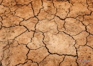 Drought Poster
