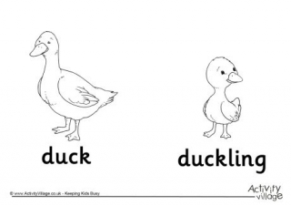 Duck and Duckling Colouring Page