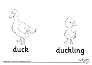 Duck and duckling colouring page
