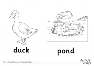 Duck and Pond Colouring Page