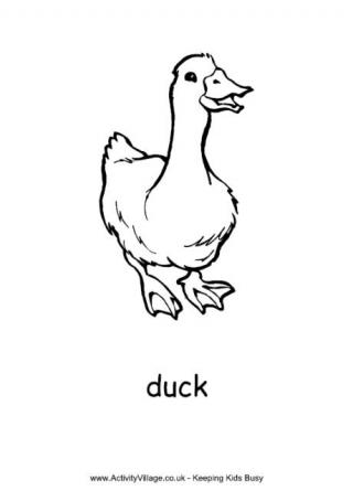 Duck colouring page 2