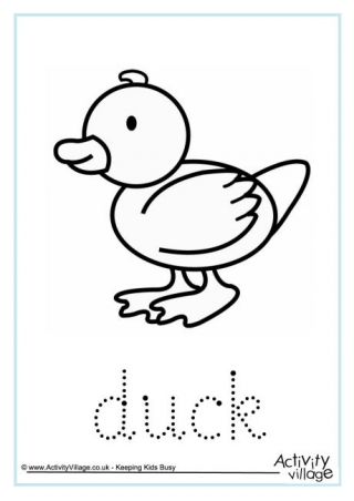 Duck Word Tracing