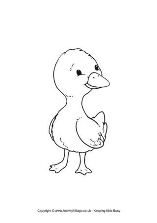Duckling colouring page
