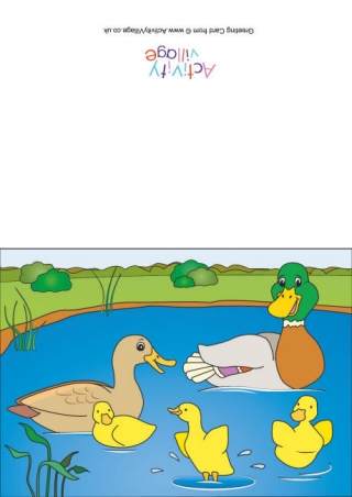 Ducks Scene Card