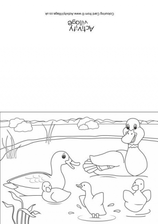 Ducks Scene Colouring Card