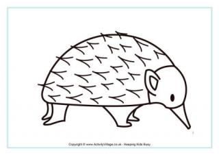 Echidna Colouring Page 2