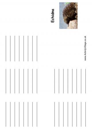 Echidna Mini Booklet