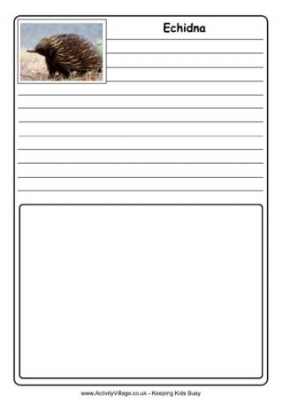 Echidna Notebooking Page