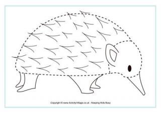 echidna tracing page