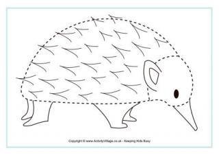 Echidna Tracing Page