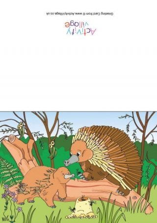 Echidnas Scene Card
