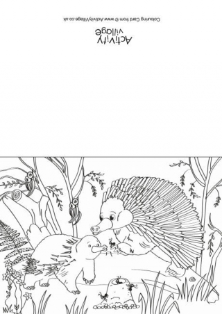 Echidnas Scene Colouring Card