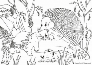 Echidnas Scene Colouring Page