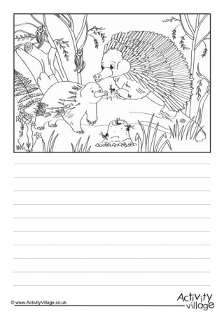 Echidnas Scene Story Paper