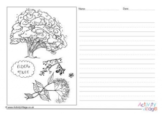 Elder Tree Story Paper