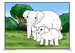 Elephant and baby colour pop colouring page