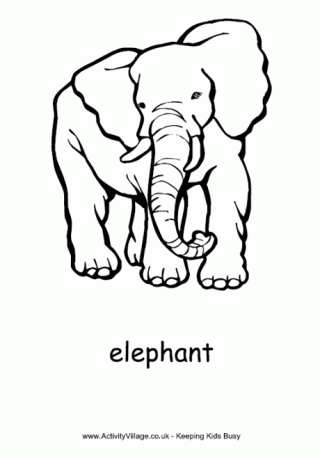 Elephant Colouring Page 2