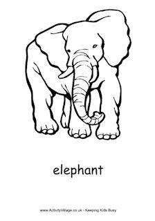 Elephant Colouring Pages