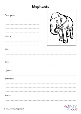 Elephant Fact Finding Worksheet 
