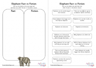 Elephant Fact vs Fiction