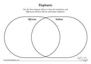 Elephant Venn Diagram