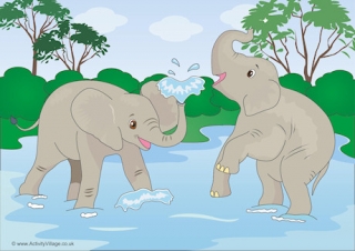 Elephants Scene Poster