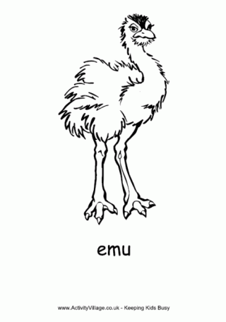 Emu Colouring Page