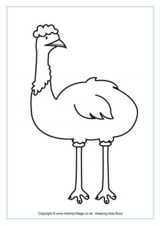 Emu Colouring Page 3