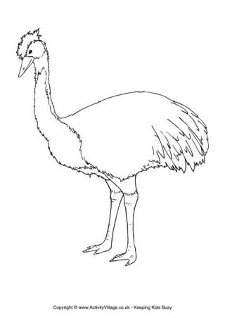 Emu Colouring Page