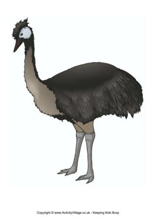 Emu Poster