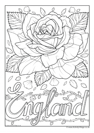 England National Flower Colouring Page