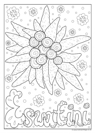 Eswatini National Flower Colouring Page