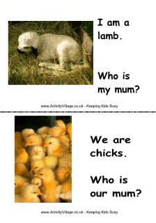 Printable Farm Animal Flashcards for Kids