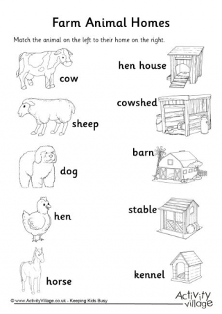 Farm Animal Homes