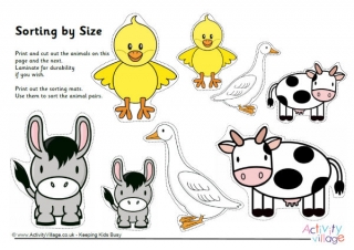 Farm Animal Sorting By Size