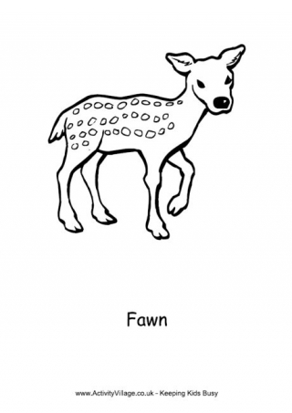 Fawn Colouring Page 2