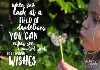 Field of Dandelions Poster