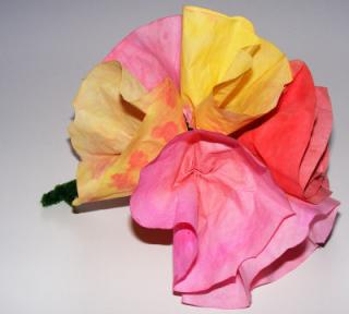Filter Paper Bouquet
