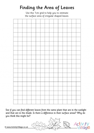 Finding the area of leaves