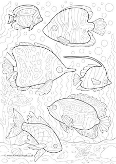 Fish Colouring Pages
