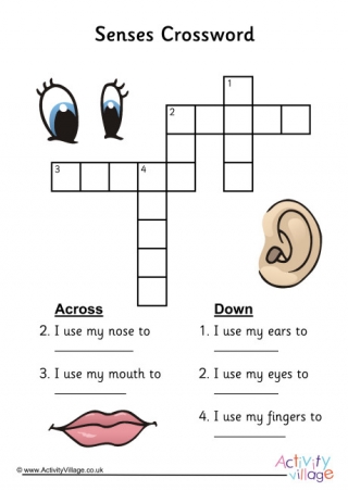 Five Senses Crossword